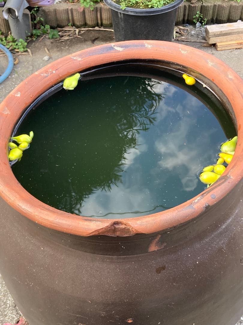 存在感抜群！時代物 陶器の大型甕 古い壺 。茶褐色。和モダン 60センチ