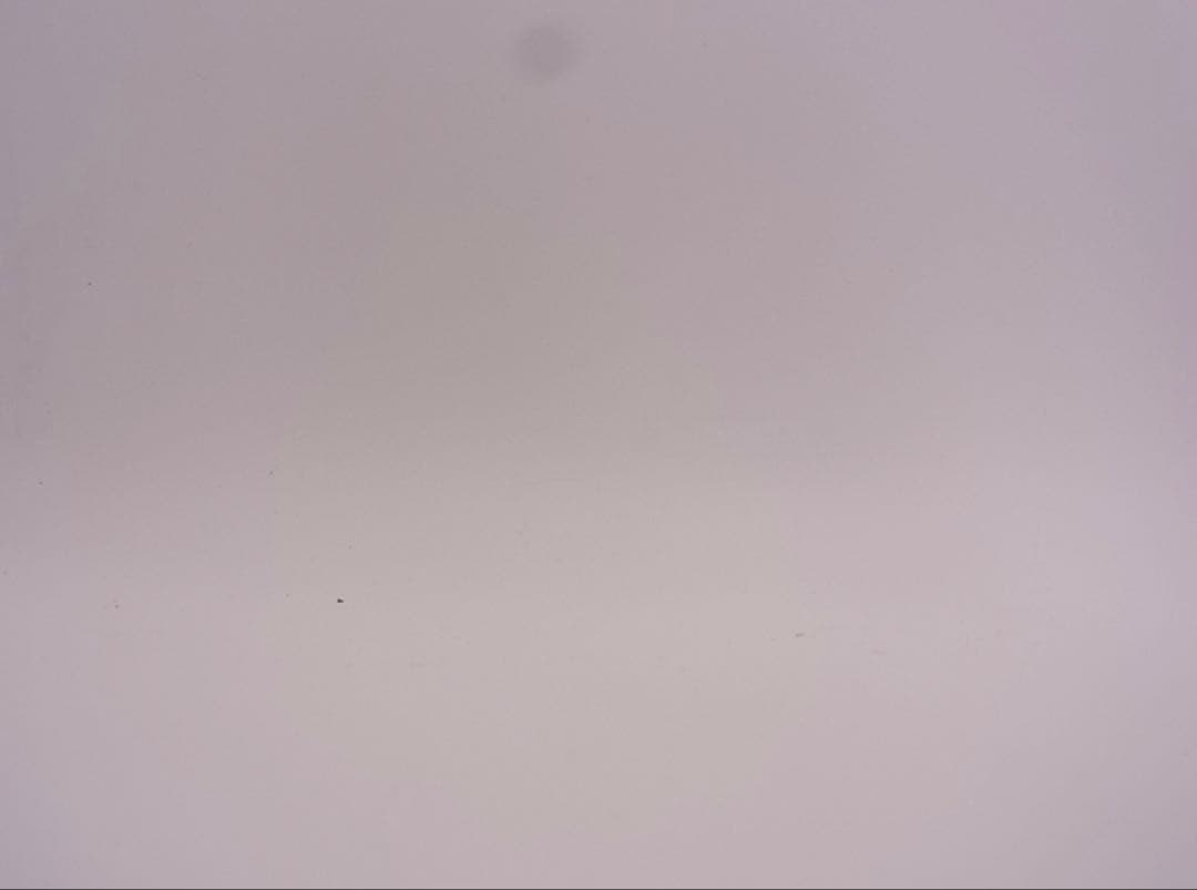 RICOH CX4 ピンク デジタルカメラ 本体