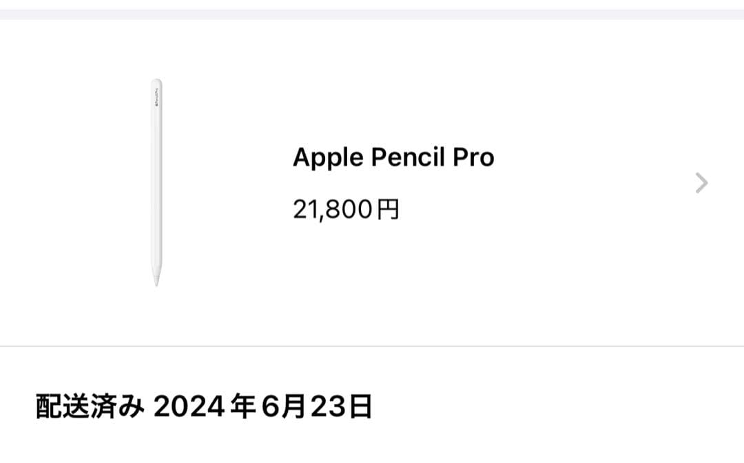 Apple Pencil Pro 元箱付き