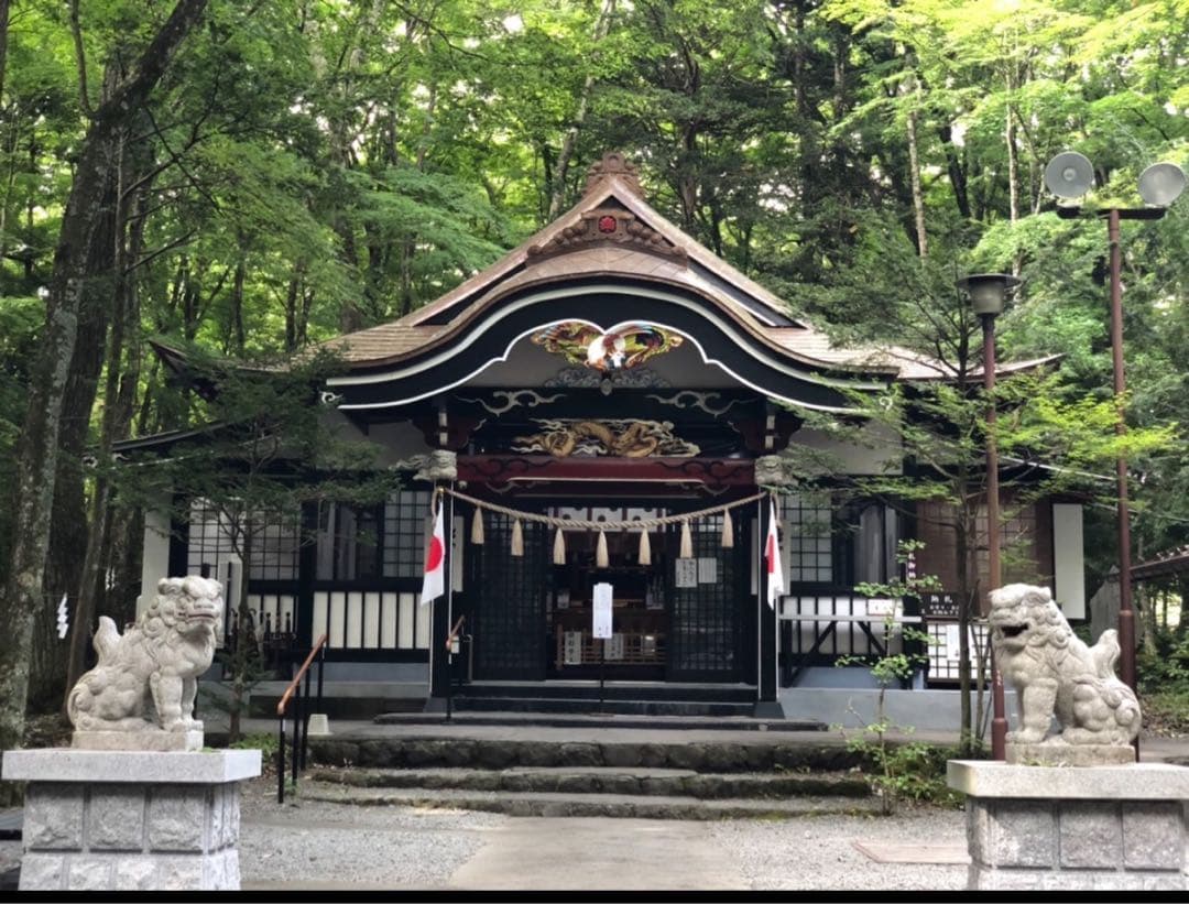 【水わらび】⭐️最強財運〜龍神様⭐️イケメン紫龍　ずっしり801g