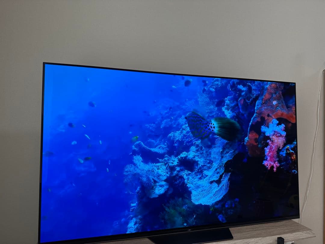 SONY BRAVIA A8F 55インチ 有機ELテレビ