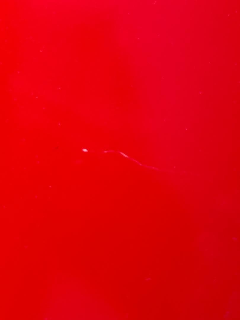 USM Haller キャビネット1列4段 ルビーレッド、ピュアホワイト