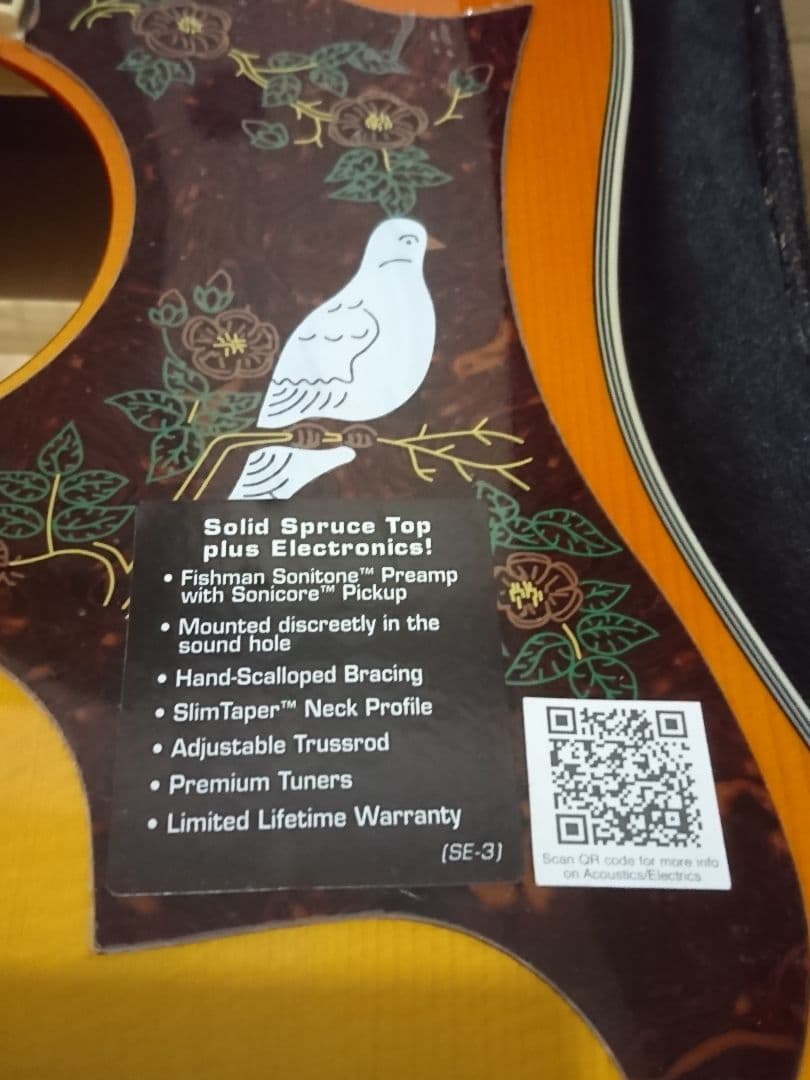 とにかくキレイ❗Epiphone Dove Pro アコースティックギター
