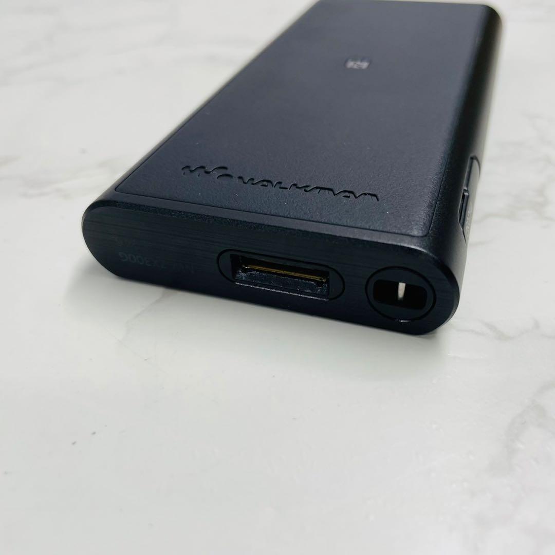 Sony Walkman NW-ZX300G 箱付属品有り 動作確認済み