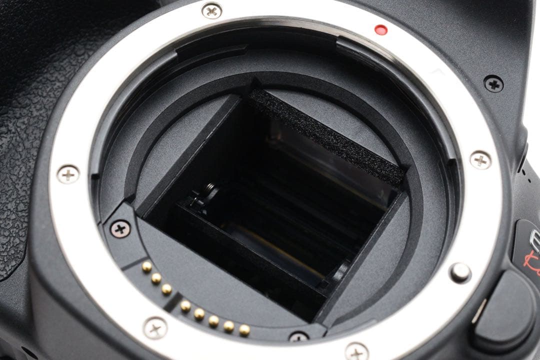 一眼レフカメラ/canon kiss x9/標準&望遠ダブルレンズセット