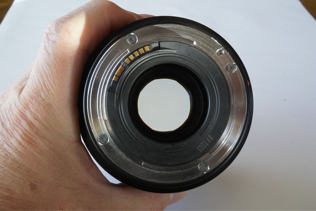 EF 28-70F2.8L USM 作例あり