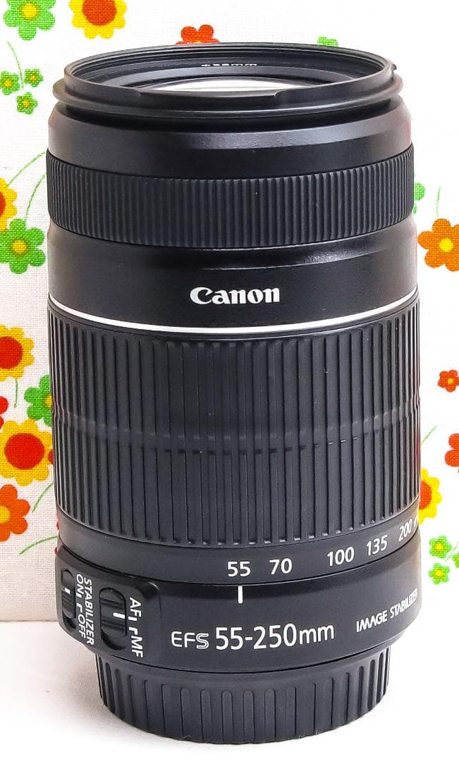 美品 Canon EF-S 55-250mm IS Ⅱ☆手振れ補正付☆望遠レンズ