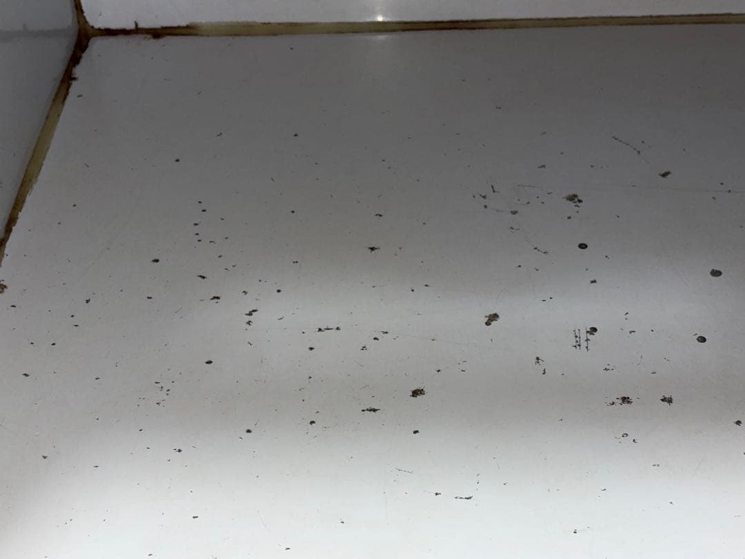 TH 大型爬虫類ケージ