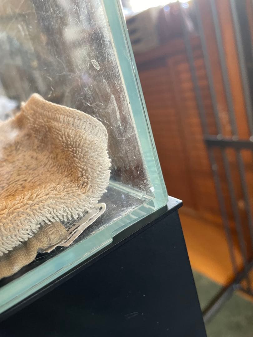 ADA 水槽セット　万天石（親石サイズ）付