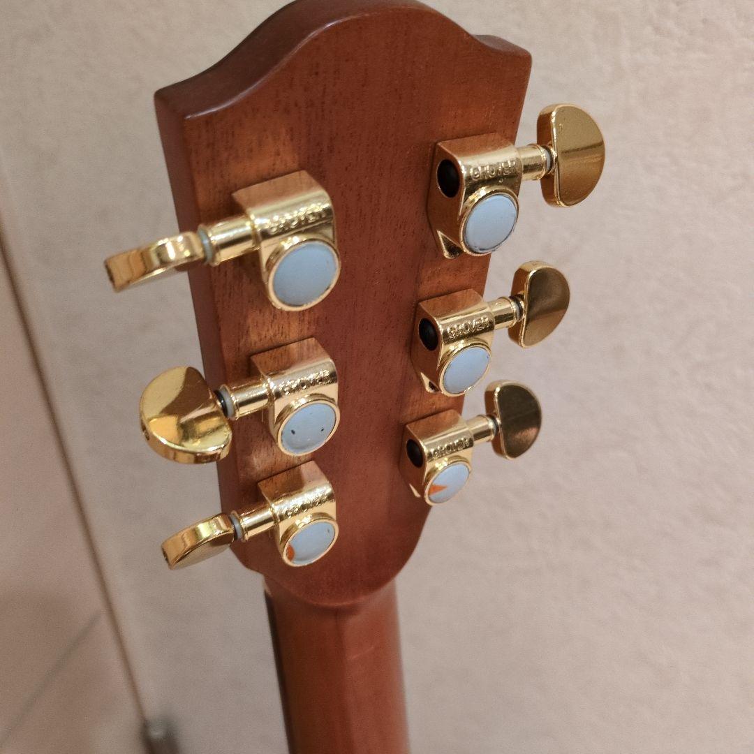 美麗!! 　DCT　GR-747 KCE （エレアコ）純正ギグバック付き