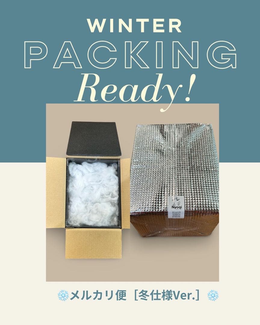 その他観葉植物 Alocasia Ninja Tricolor Variegata