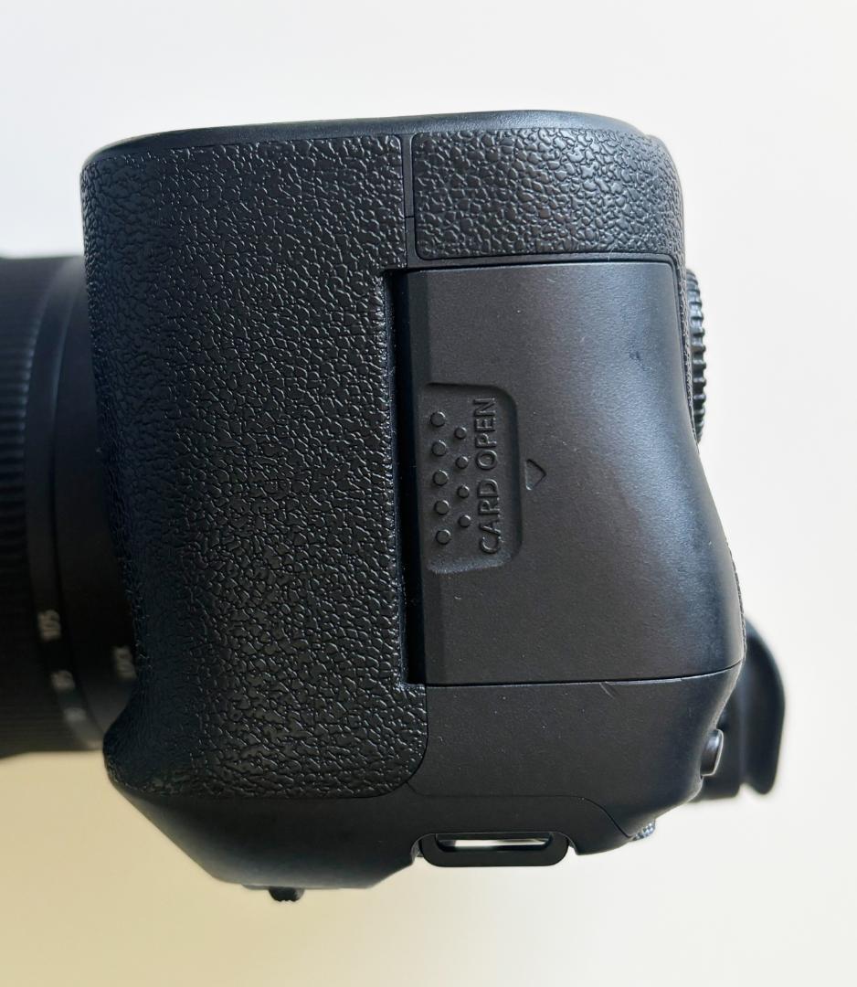 ビデオカメラ Canon EOS R6