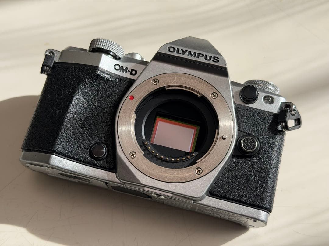 OLYMPUS OM-D E-M5 Mark ⅱ シルバー（予備バッテリー付）