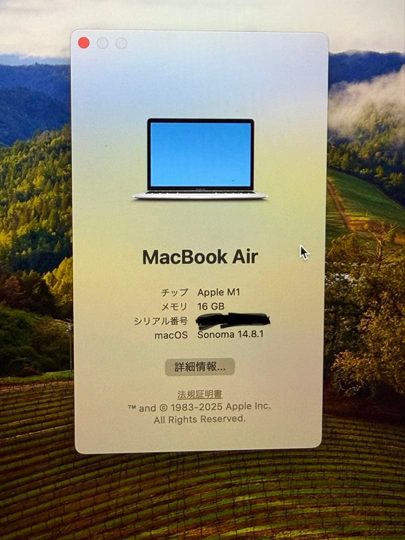 Apple MacBook Air (M1, 2020) シルバー本体 US