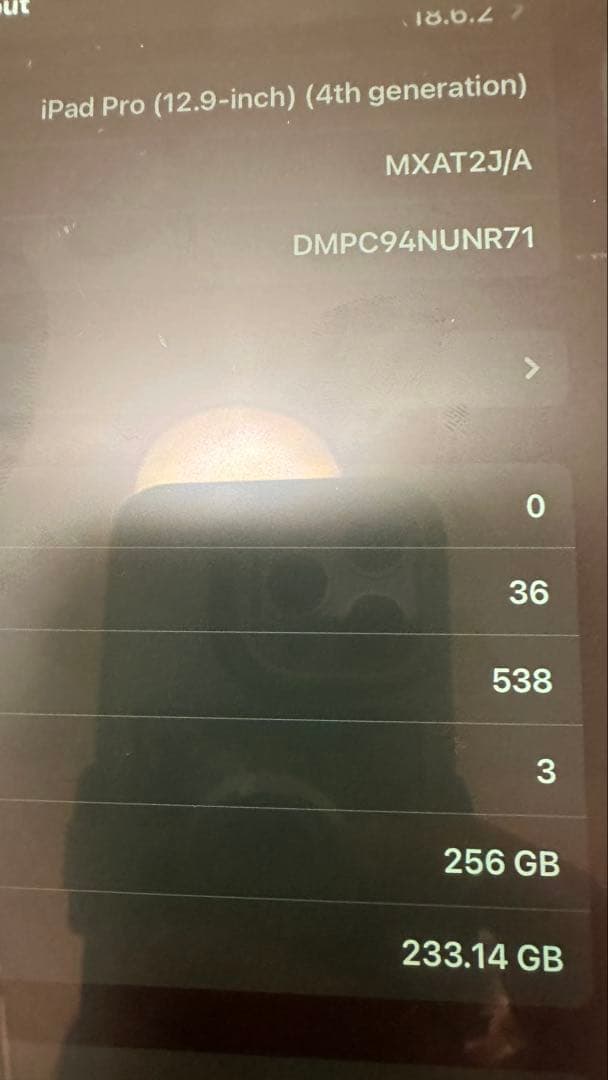 iPad Pro (12.9-inch) (第4世代) 256GB箱付き
