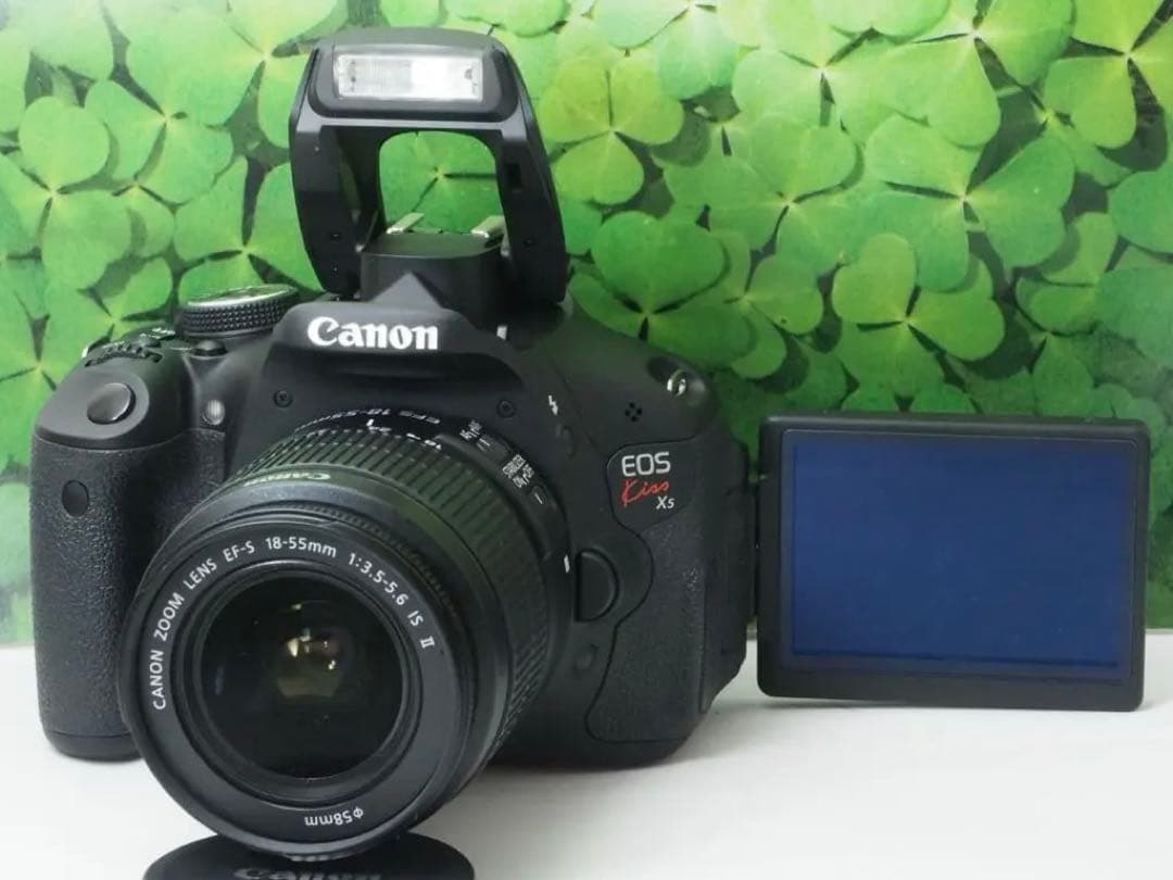 【美品】スマホへ転送も可 一眼で自撮りOK キャノンKissX5ダブルレンズ