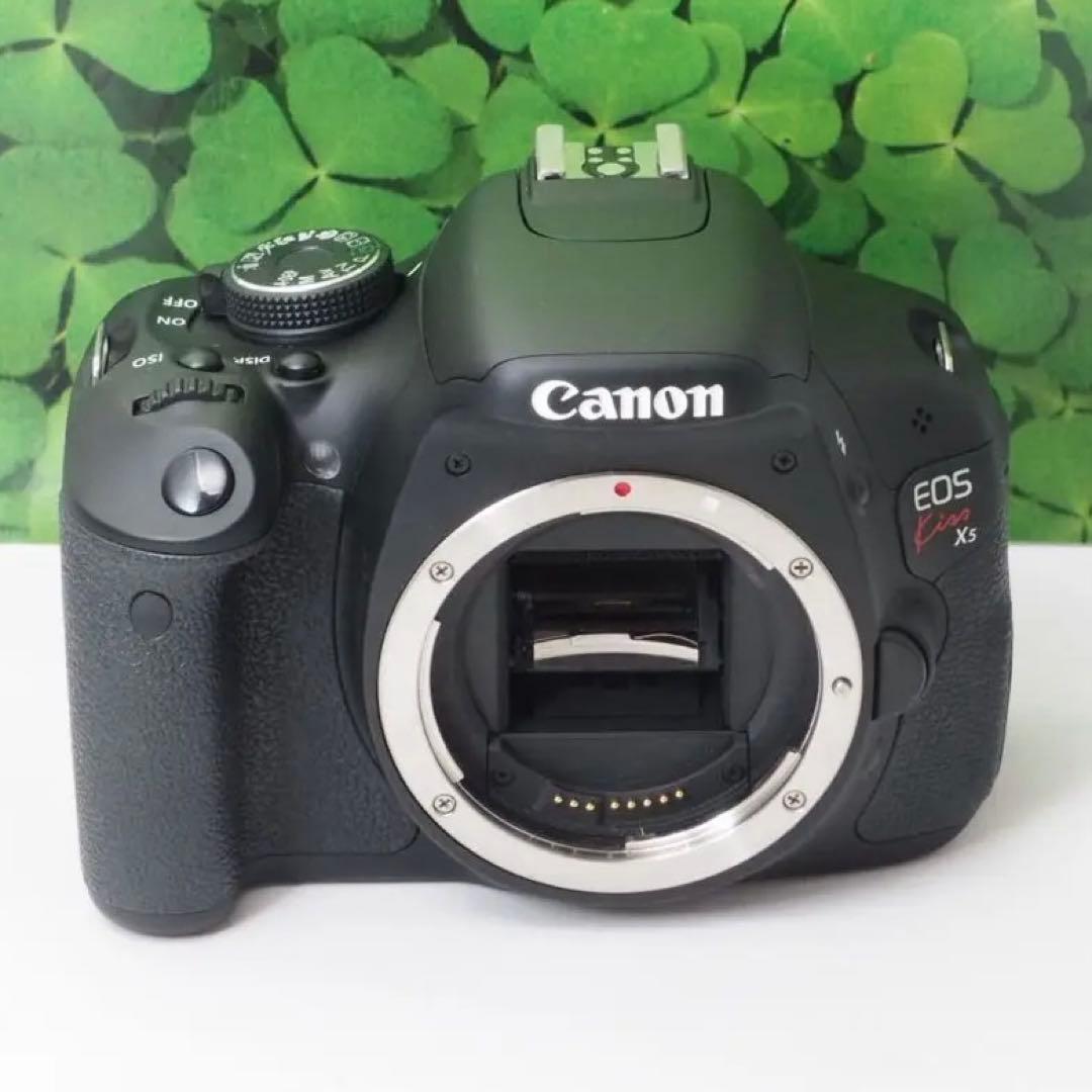 【美品】スマホへ転送も可 一眼で自撮りOK キャノンKissX5ダブルレンズ