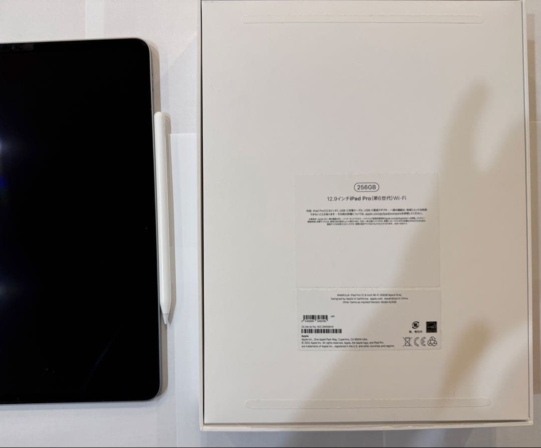 12.9インチ iPad Pro 第6世代256g Apple Pencil2付