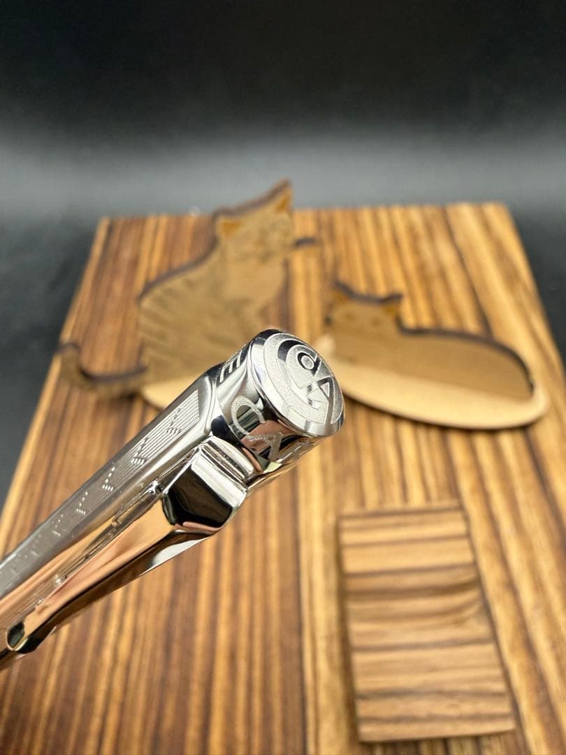 Caran d'Ache ローラーボール エクリドール シェブロン