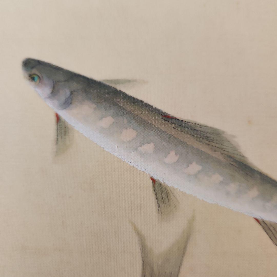 日本画家金島桂華の山女の双魚