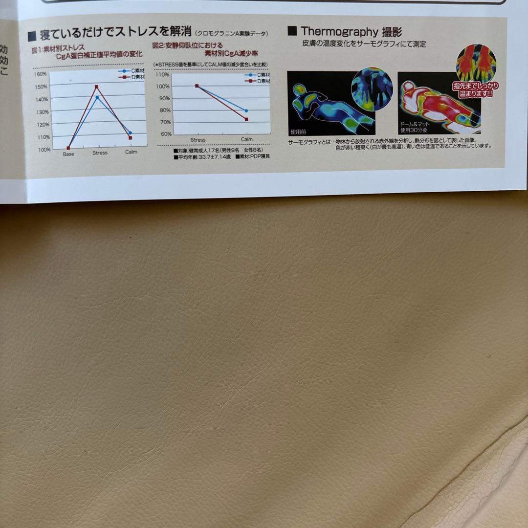 【美品】【手渡し可】PDP HEAT MAT ヒートマット　まくら　レインボー