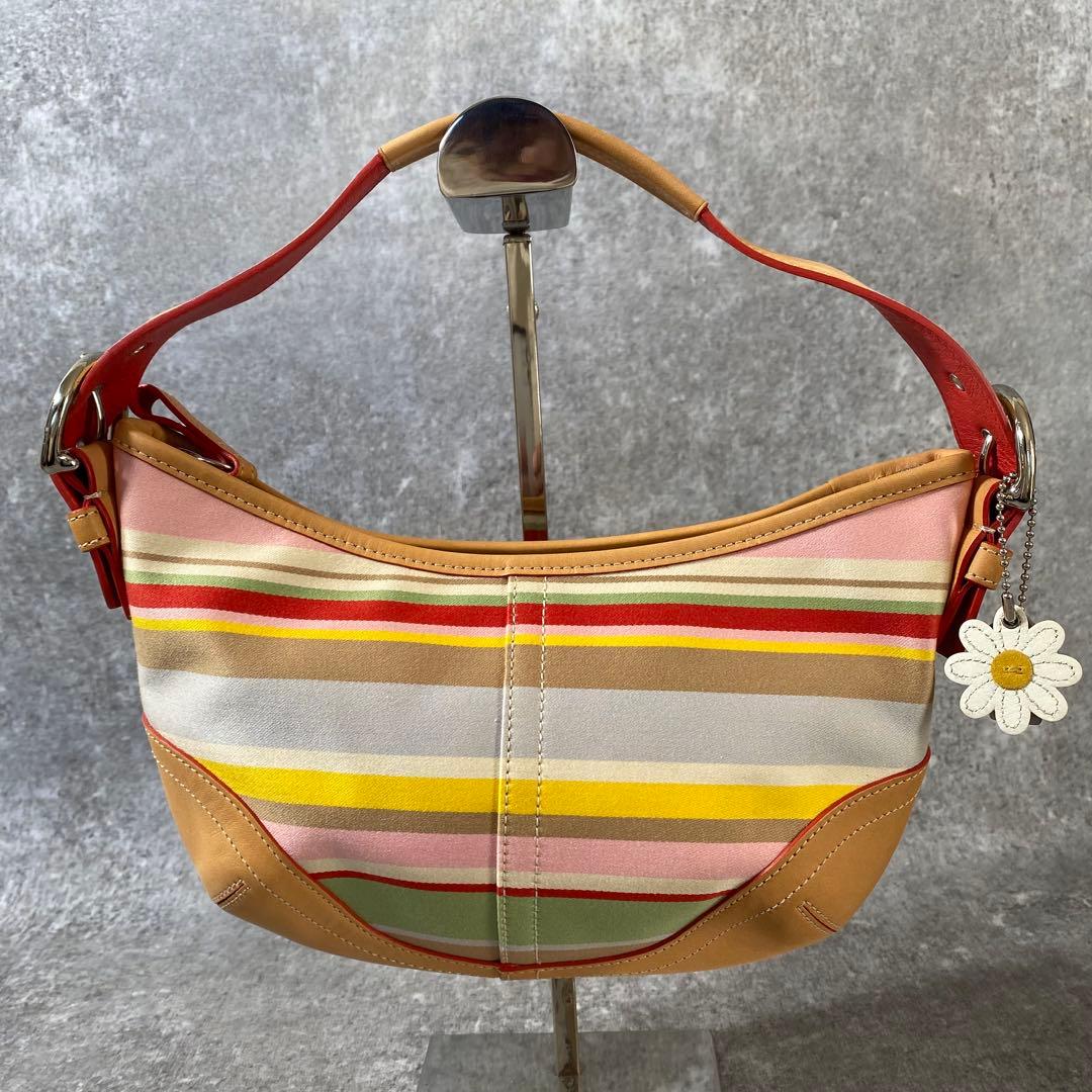 極美品　コーチ アクセサリーポーチ ワンショルダー ストライプ　マルチカラー