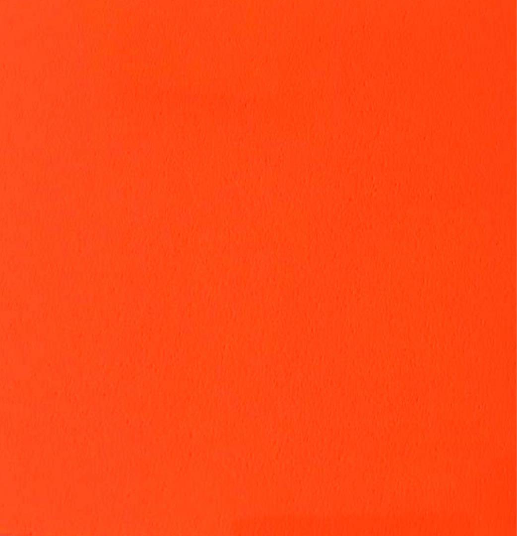 PEARLY GATES オレンジ トートバッグ