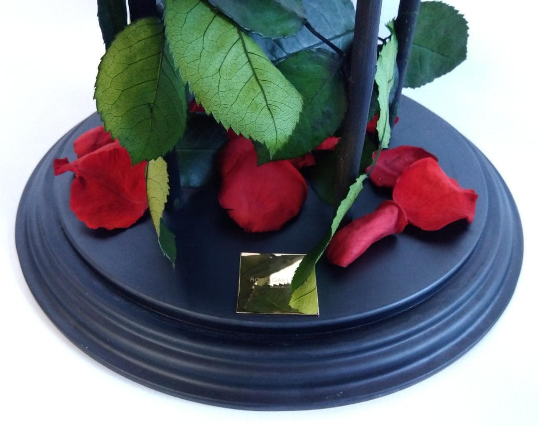 ROSE GALLERY 銀座 プリザーブドローズ(5本立ち) ドームケース付き