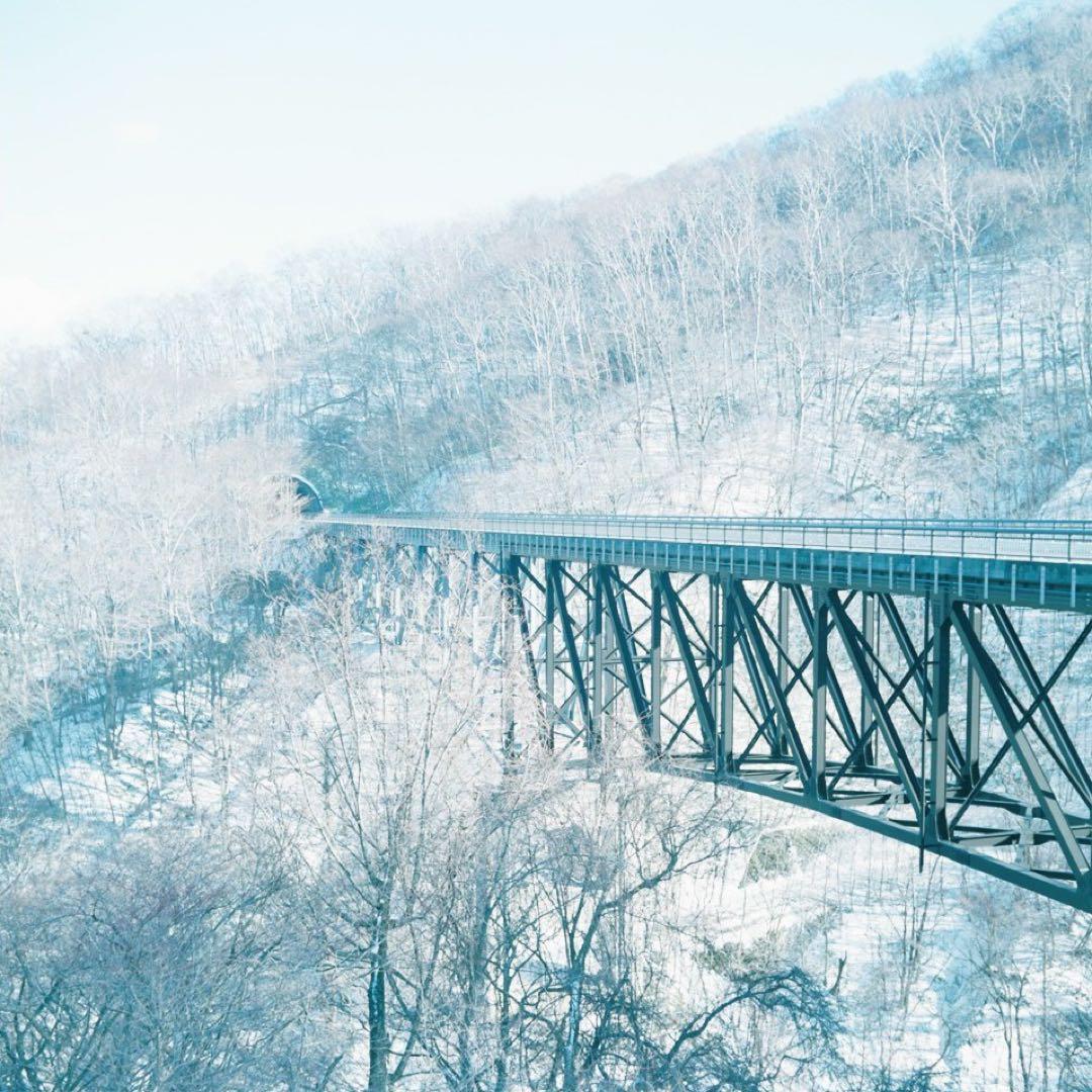 完動品◎Minolta AUTOCORD ミノルタ 二眼レフ フィルムカメラ