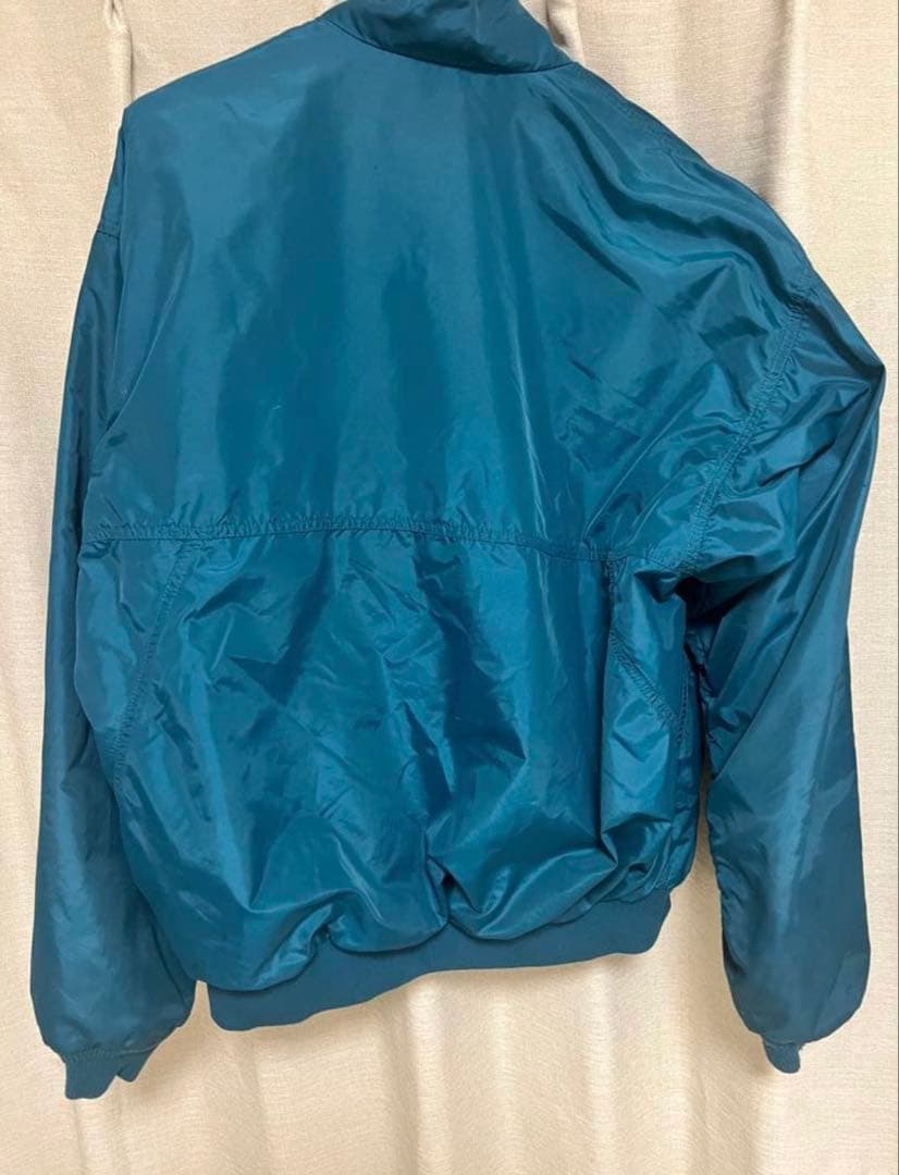 patagonia シンチラ