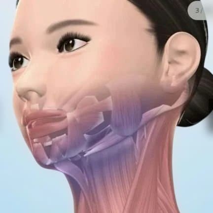 ルネサンス開発 StyllyFace EMS 美顔器　スタイリーフェイス