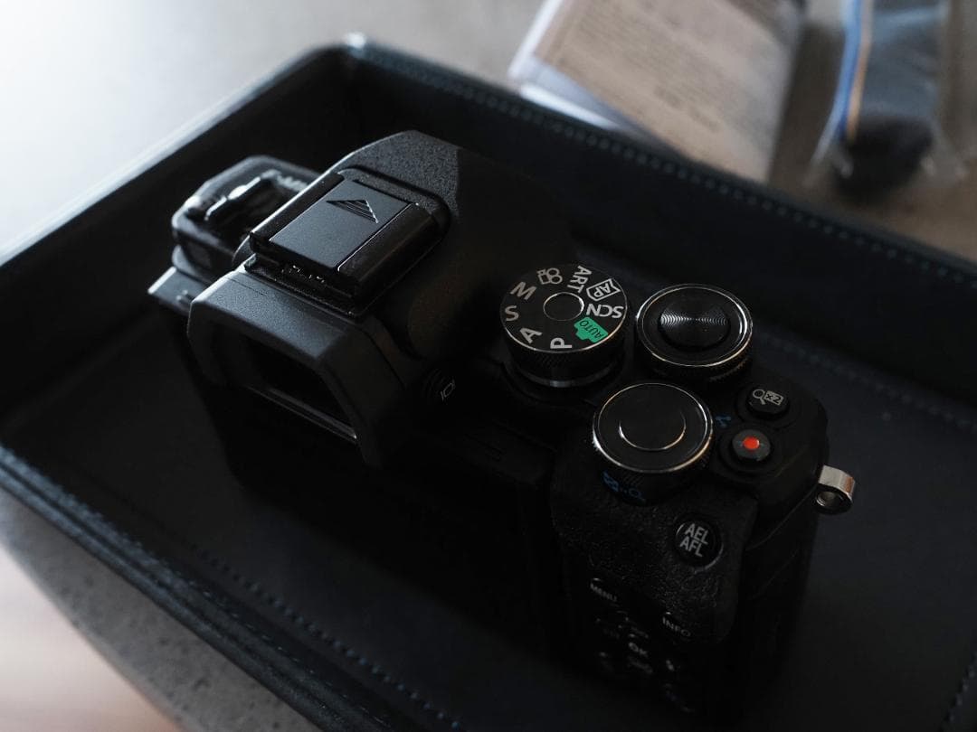 1月購入！ OLYMPUS OM-D E-M10 Mark Ⅳ　撮影1112枚