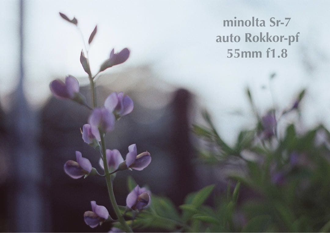 ★作例必見！完動品＊美品＊初期保証★minolta sr-7&緑のロッコール