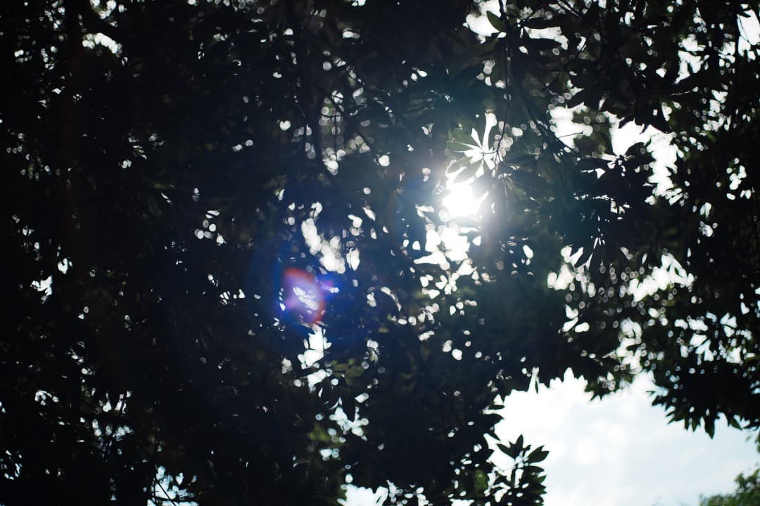 【美品】動作◎ ミノルタ MD ROKKOR 45mm F2 937