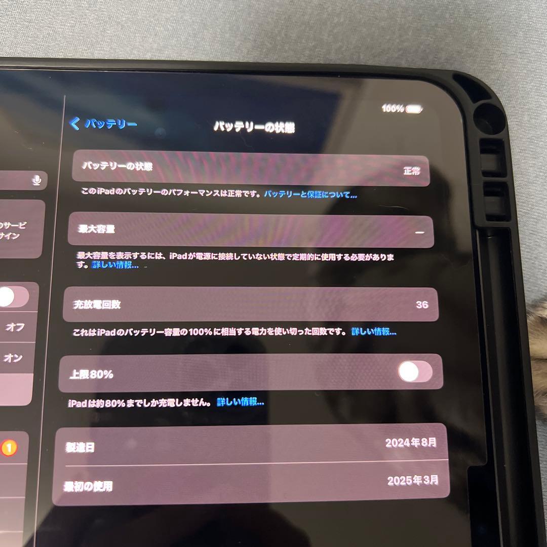 iPad Pro (M4) 11インチ Wi-Fi 256GB