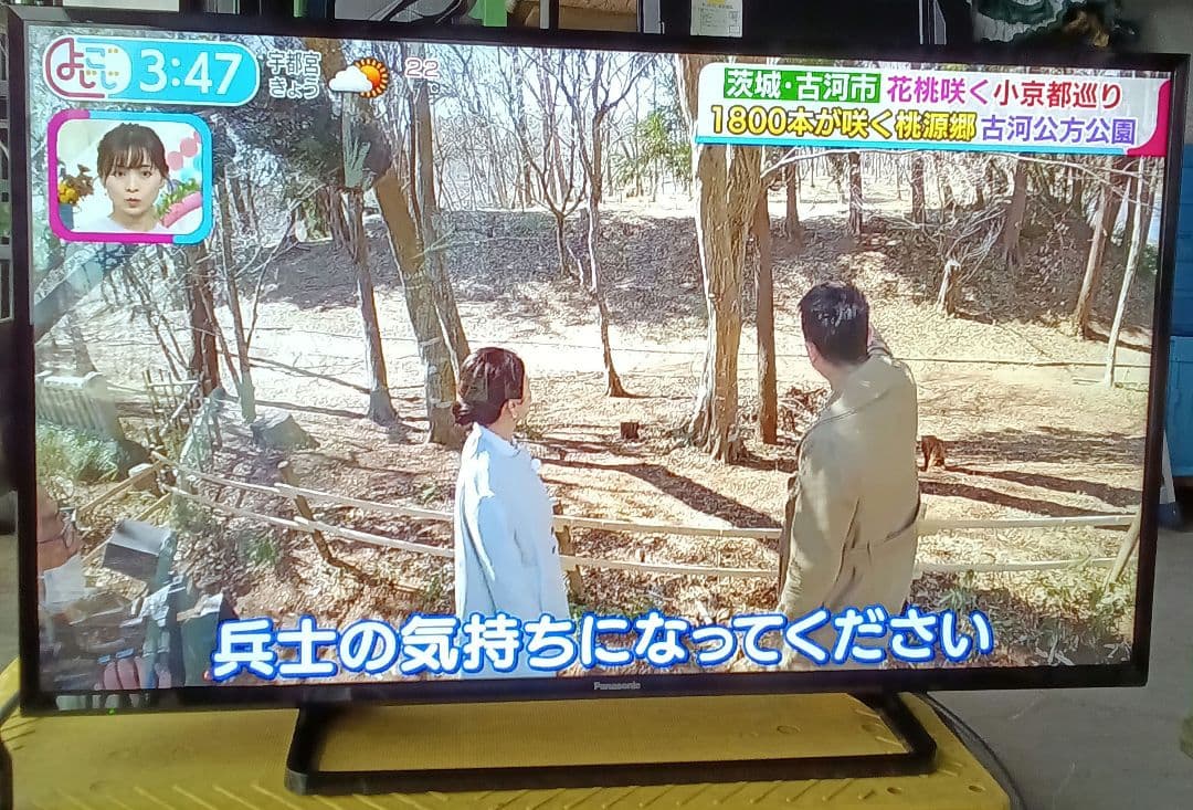 43インチ液晶テレビ Panasonic TH-43F300HT2020年製 ⑬