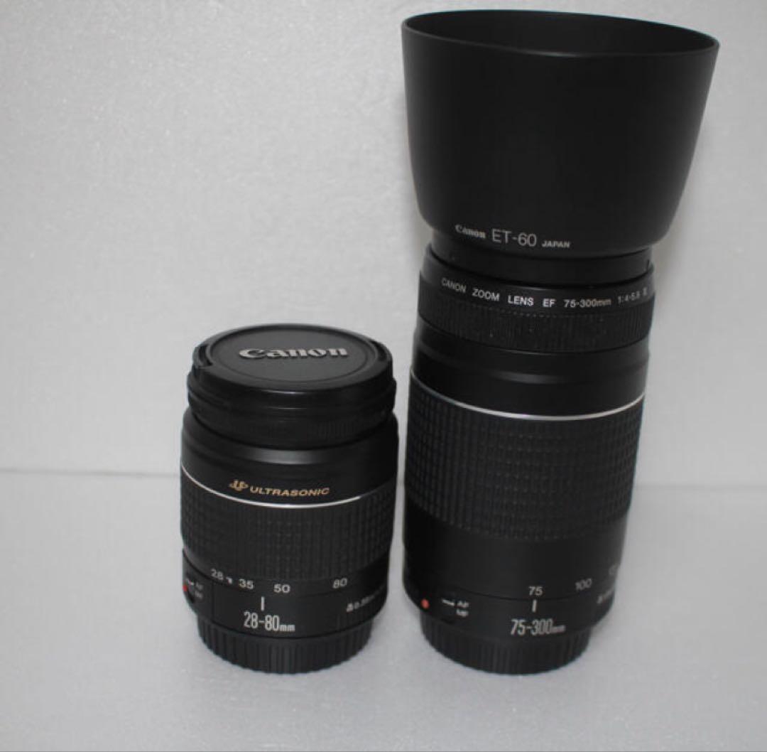 美品　Canon EOS 6D Mark II標準&望遠ダブルレンズセット