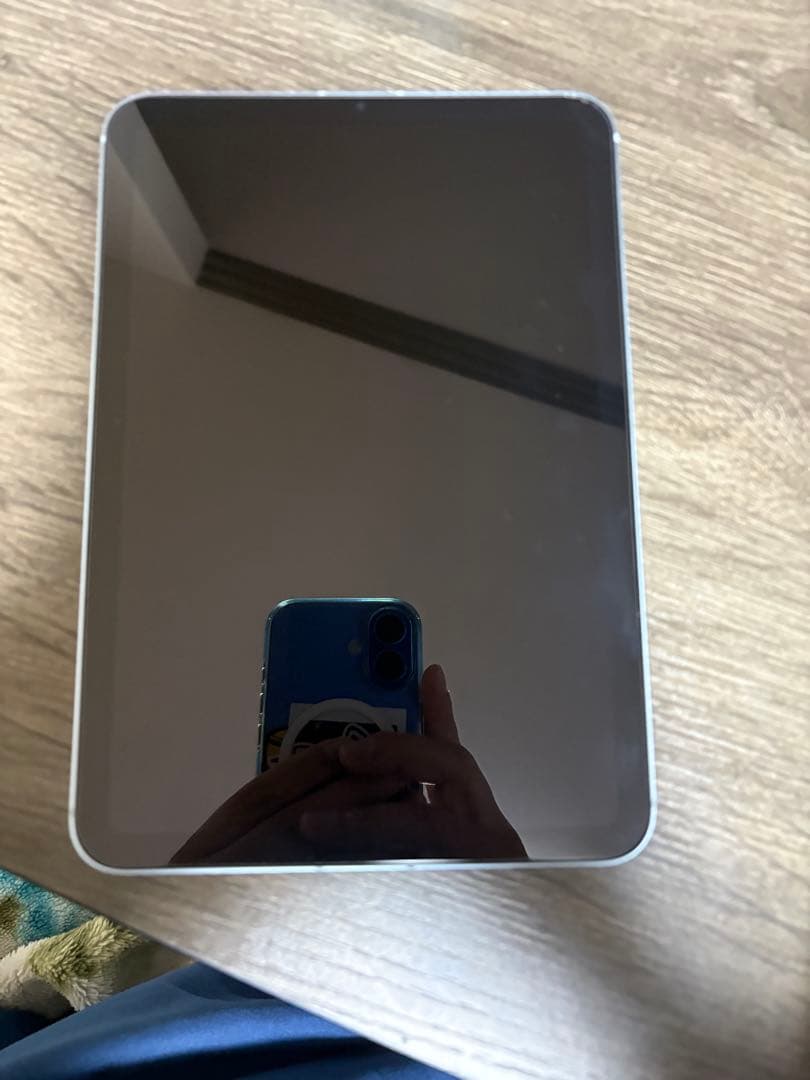 iPad本体 iPad mini 7 cellular + Apple Pencil pro