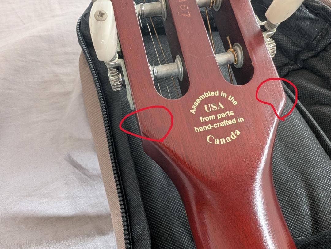 Godin Multiac Steel Duet ゴダン スチール デュエット