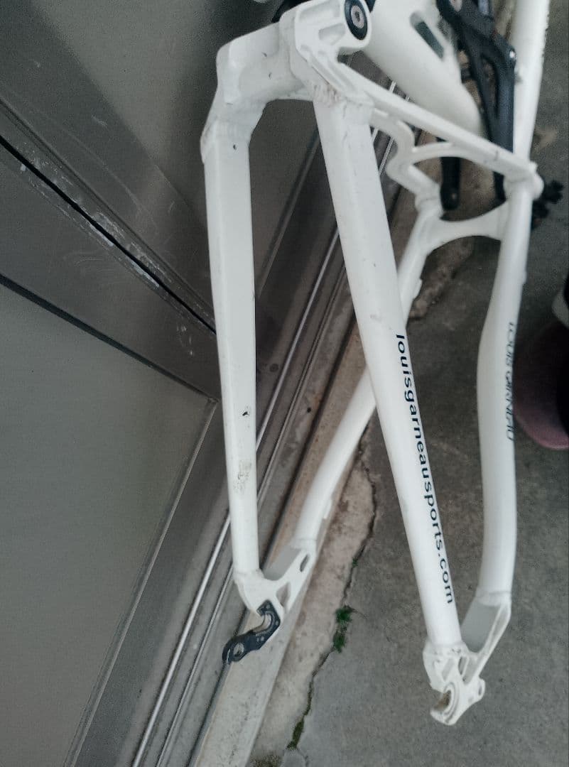 フレーム LOUIS GARNEAU Flite