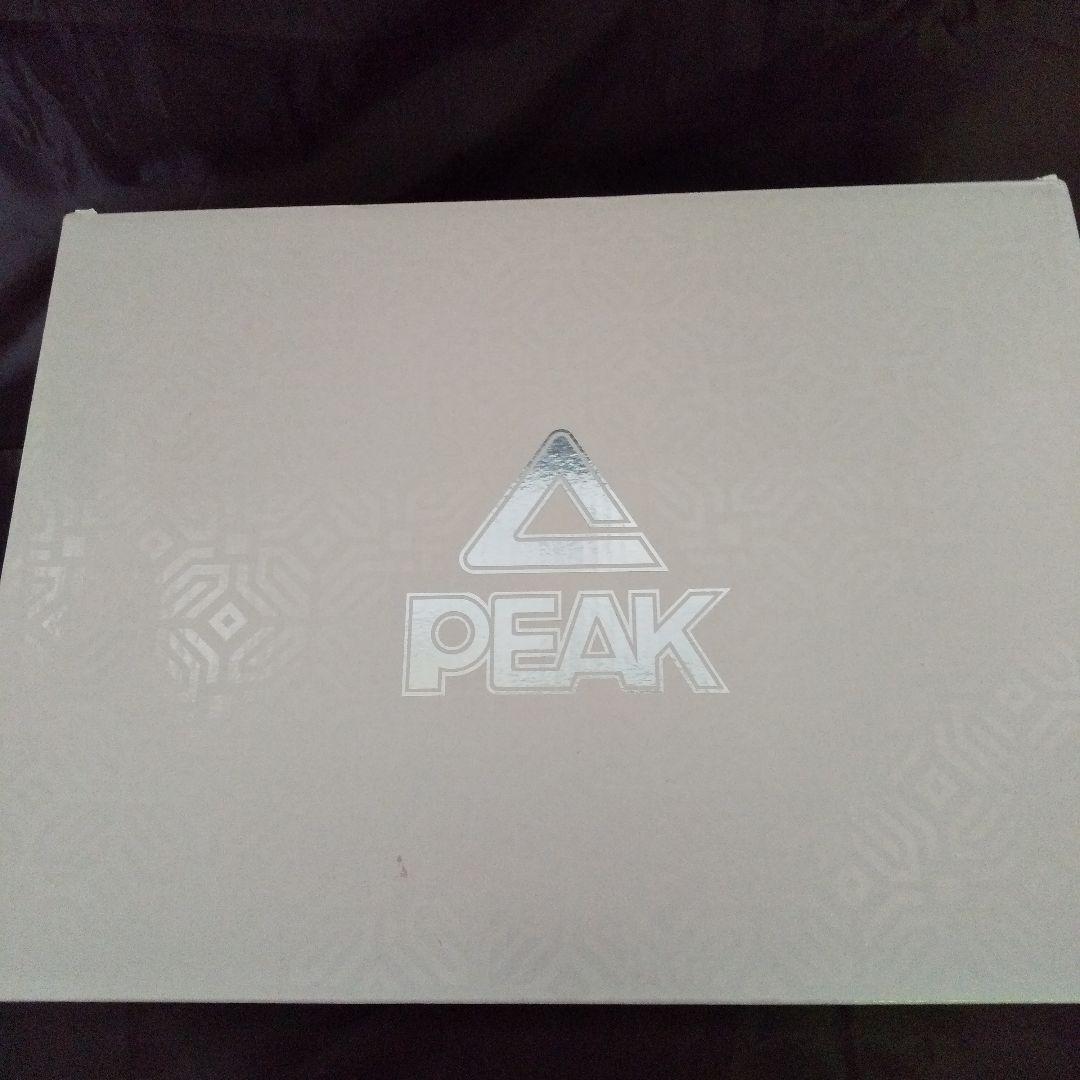 シューズ(男性用) PEAK AW 1