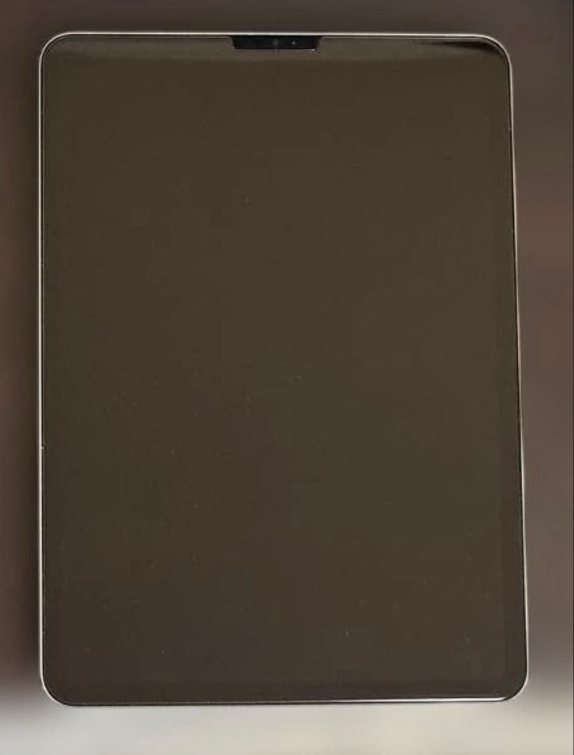 iPad Pro 11インチ第4世代 256GB + Apple Pencil2