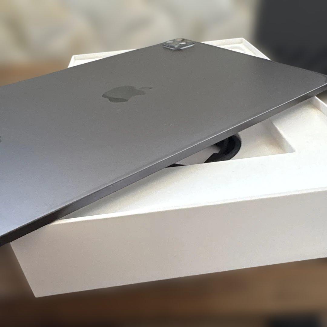 ぜ*ぃ様 iPad Pro 11インチ M4[256GB] セルラー SoftB