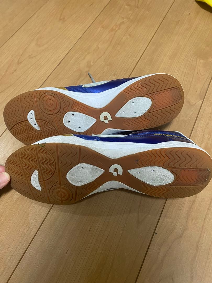 気まぐれ値下げ ときわのデスポルチ　Desporte