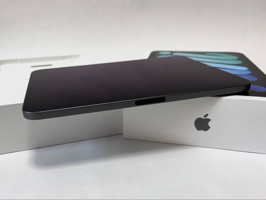 Apple iPad mini Wi-Fiモデル (スペースグレー) 256GB