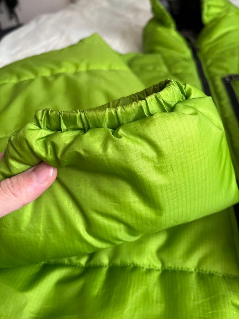 patagonia / DAS PARKA (ゲッコーグリーン）Mサイズ