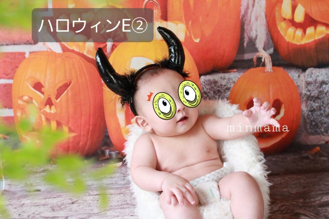 背景布　【　ハロウィンE　】　サンプル　パーティー、ペット撮影用　タペストリー