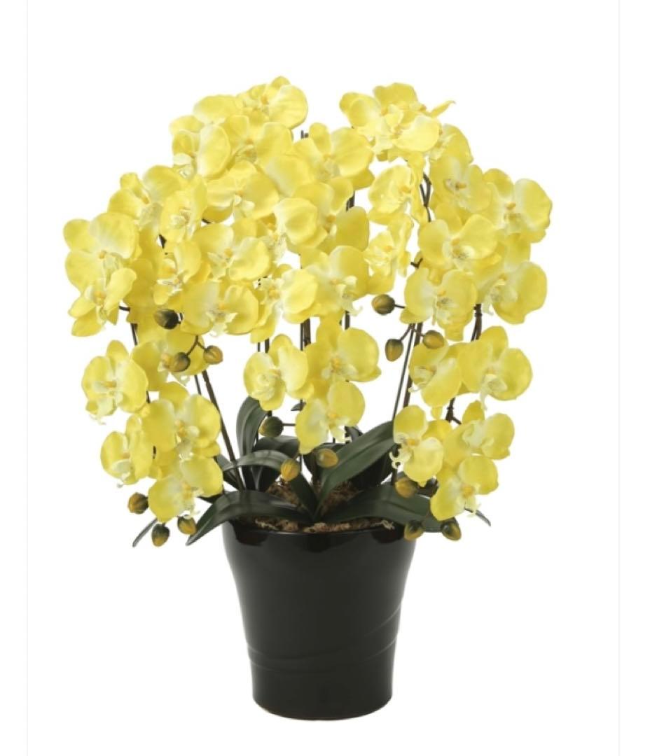 光触媒　人工観葉植物　ウォールグリーン　フェイクグリーン　クイーン胡蝶蘭5本立Y