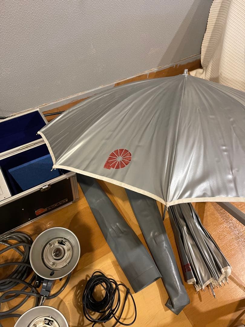 PROPET PS-750 ストロボ 2灯フルセット 完動品（電球除）