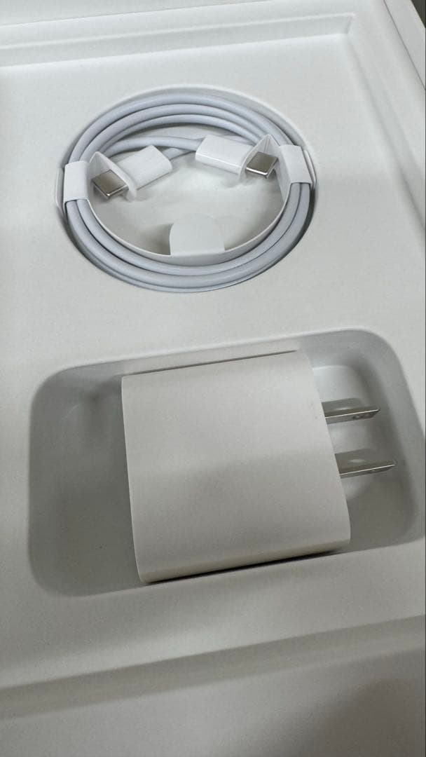 【あんしんさん専用】iPad mini6 256GB Wi-Fiモデル 美品